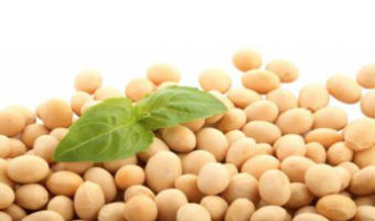 Soya-farming
