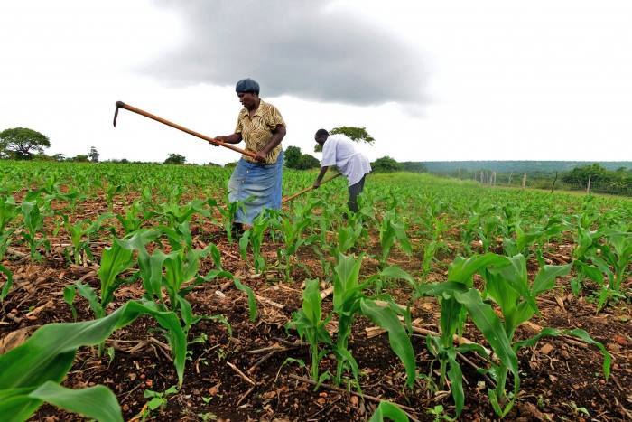 Fund-targets-climate-mitigation-innovators-in-Uganda