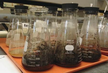 soil testing lab