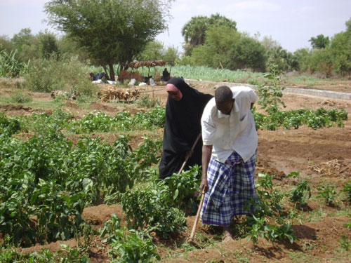 garissaagric