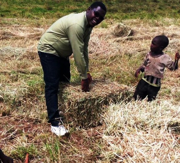 Hay Geoffrey Rono Narok fodder