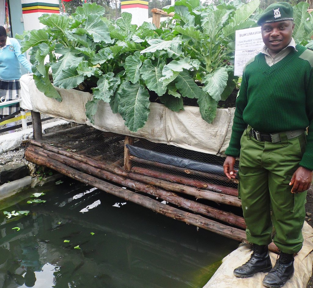 IntegratedfishfarmingJaredMokayaNakuruLaban..JPG