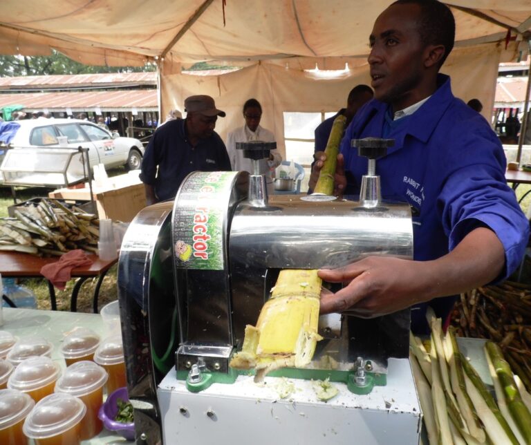 SugarcanejuiceJeffSelemboNakuruLaban.JPG
