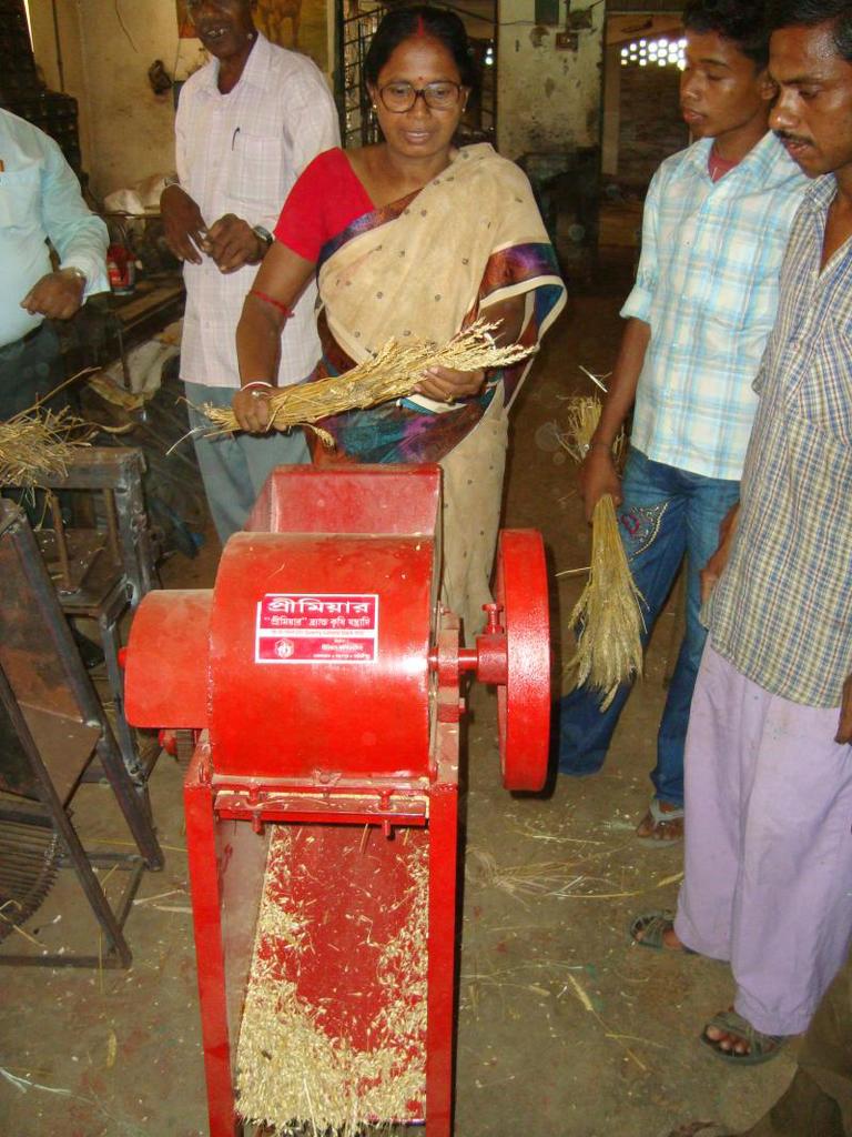 Manual Groundnut decordicator.JPG