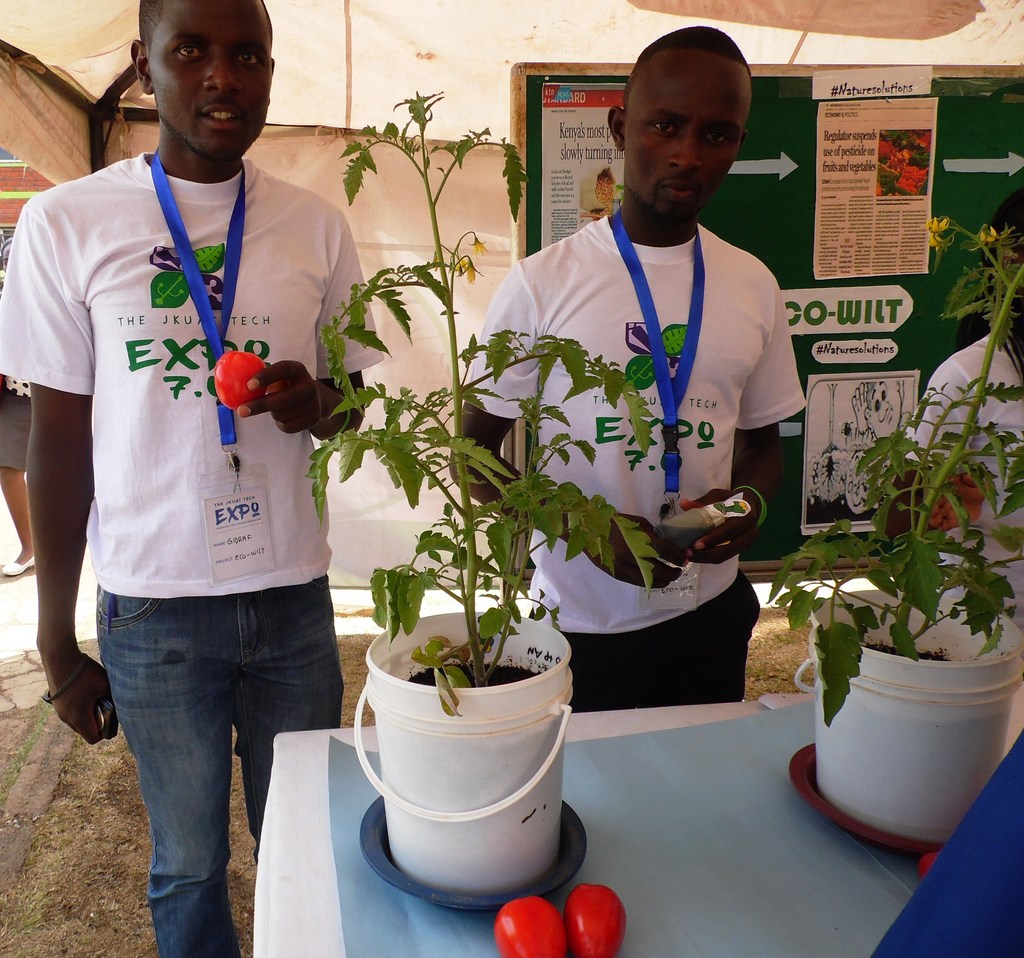Eco-Wilt solution Gridraf mwangiClintomMwangiJKUATByLabanRobert.JPG