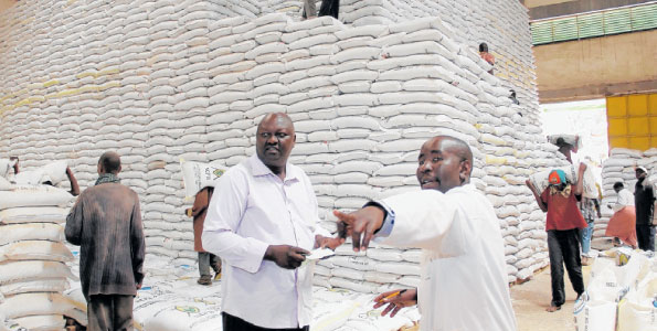 Fertiliser in a depot Business Daily.jpg