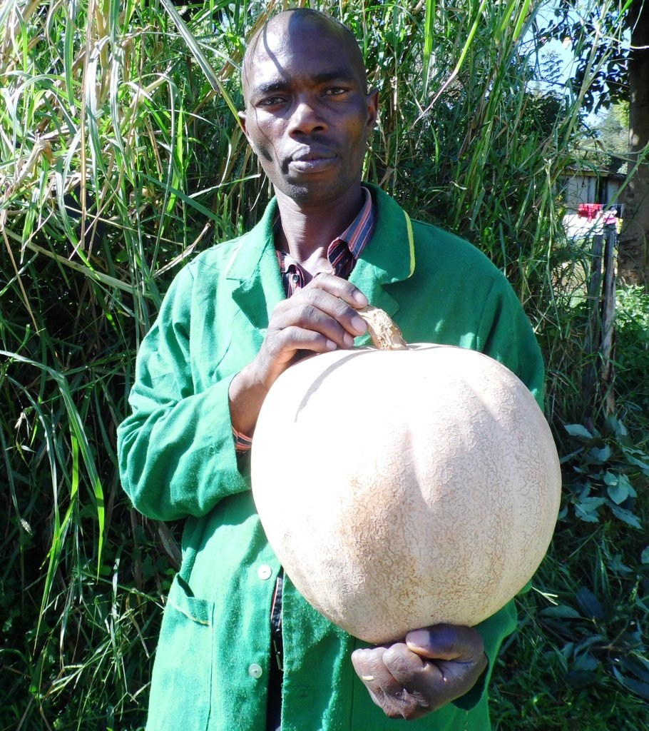 PumpkinOpicaMichaelMurayaOpicaFarmKitaleShowLabanRobert.JPG