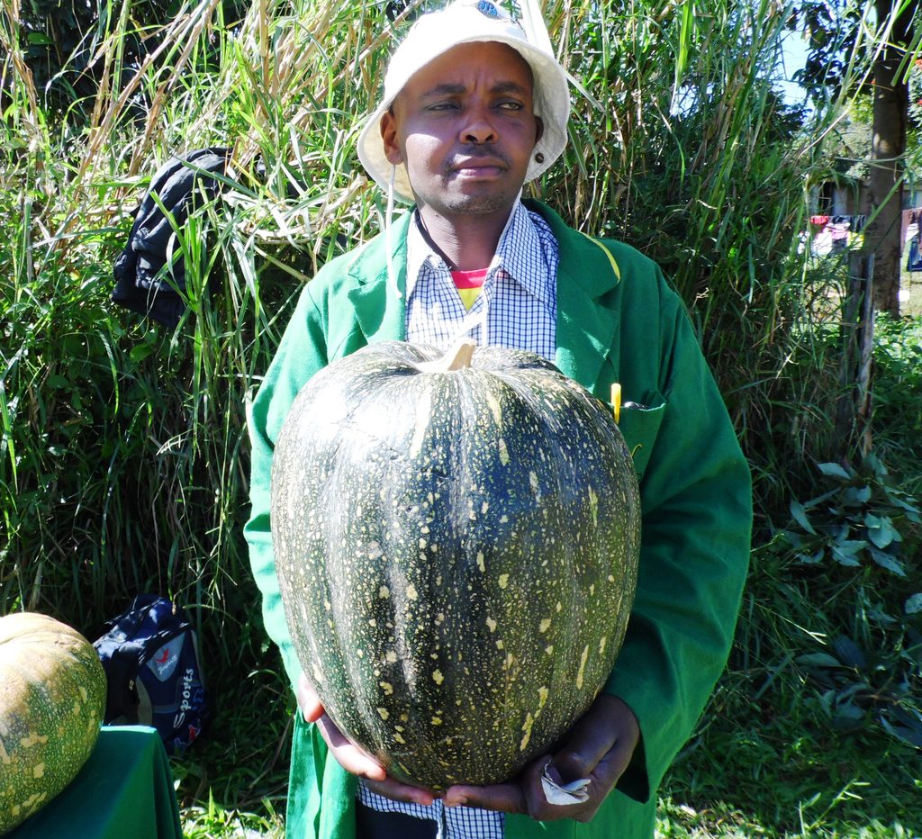 PumpkinOpocaF1PaulKabucwaKitalebyLabanRobert.JPG