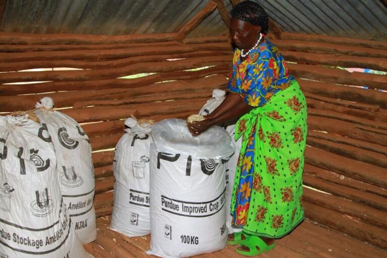 Storage bags