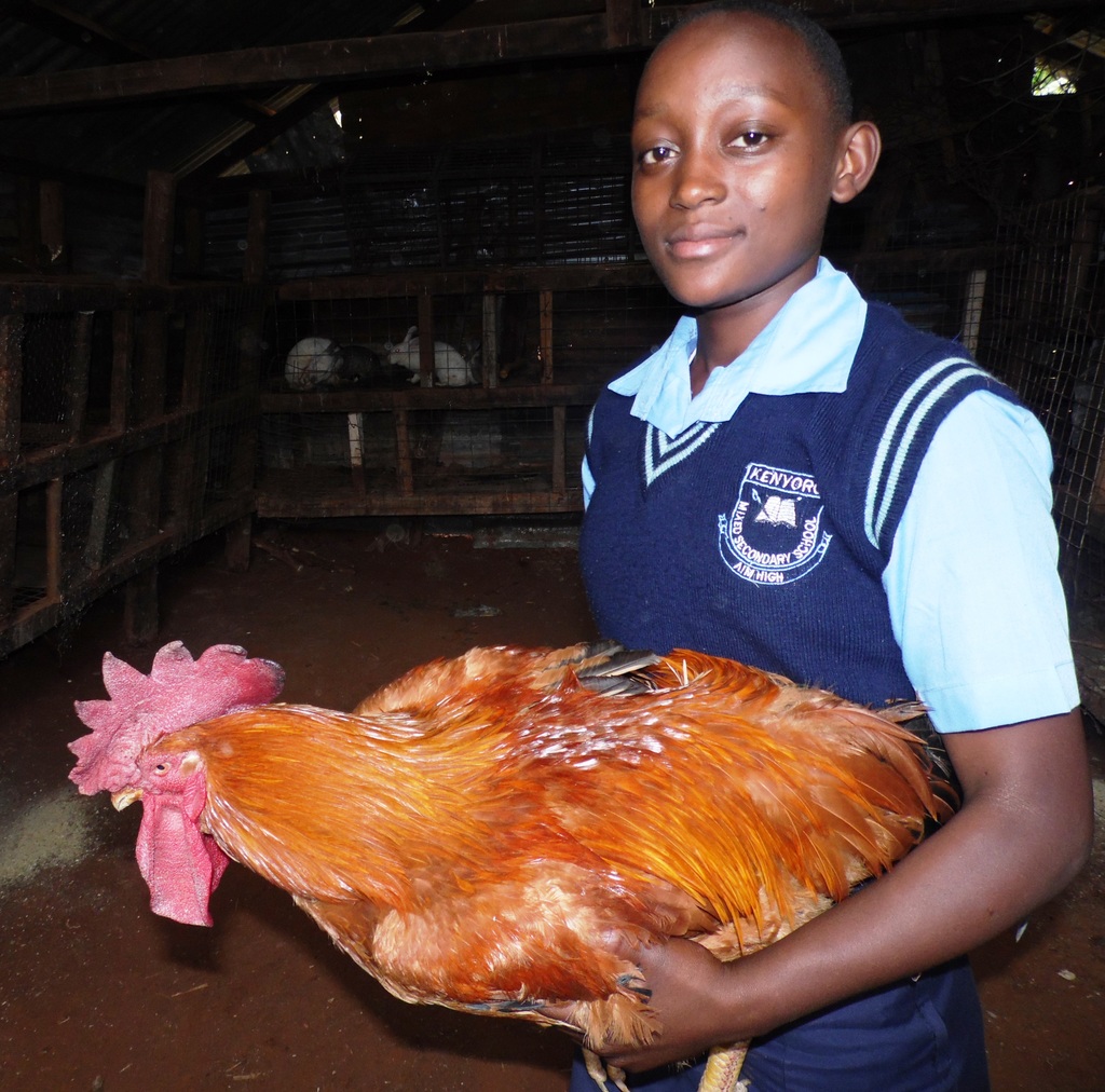 ChickenSchoolgirlKisiiASKShowByLabanRobert.JPG