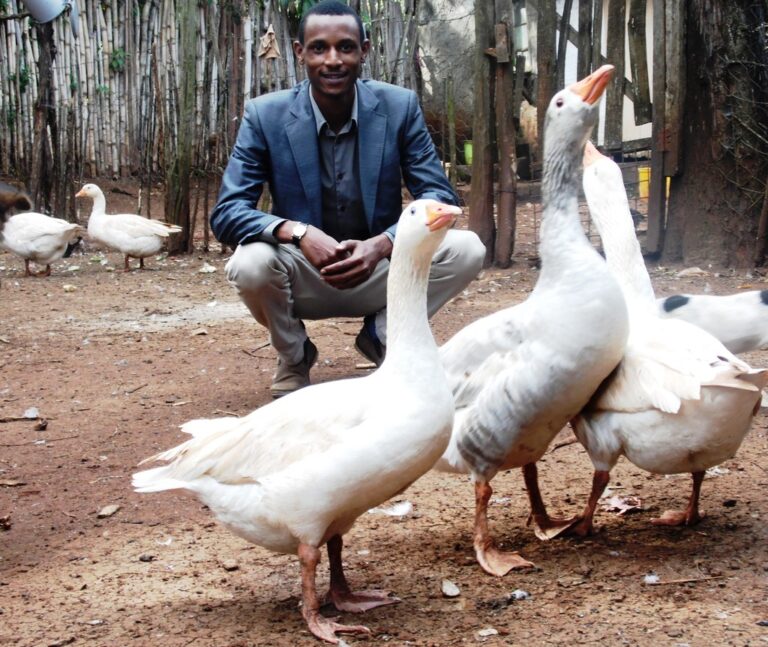 GooseJorgsMbuguaKimbuTigoniByLabanRobert.JPG