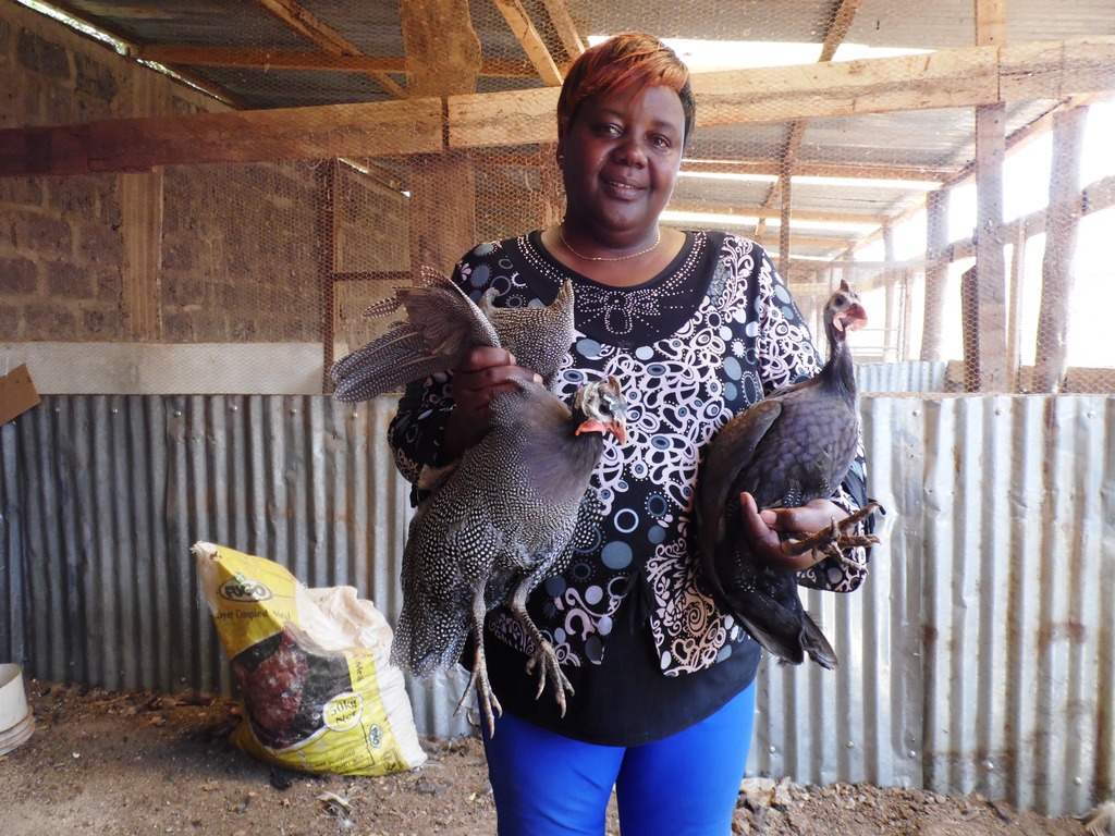 Guineafowl LucyNgugiRuiruByLabanRobert.JPG