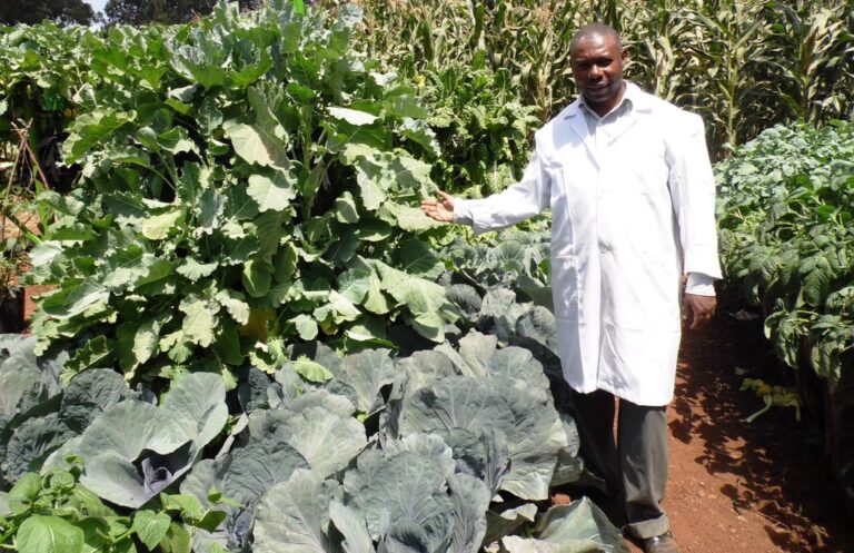 veges Andrew Kusewa Nairobi ASK By laban Robert.JPG