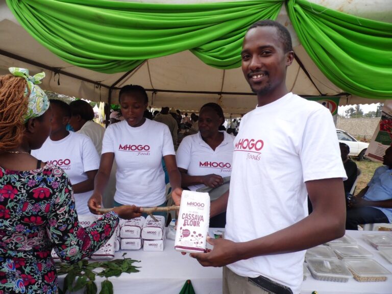 Cassava flour Peter Mbugua. Thika By Laban Robert.JPG
