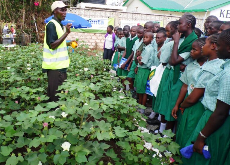 Cotton Joram Kaindi Mombas ASK By Laban Robert.JPG