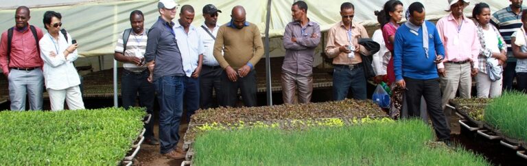 Africa Agri Week.jpg