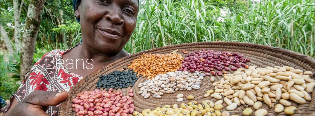 beans by ciat.JPG