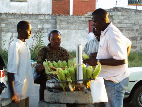 maize green photo by Saijiki for Kenya and other tropical regions.jpg