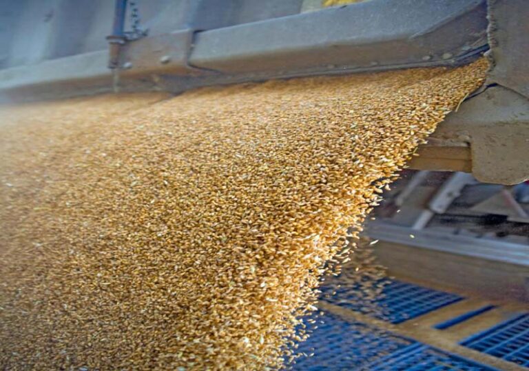 L7_foodprocessing.jpg