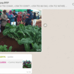 WhatsApp.PNG