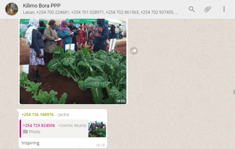 WhatsApp.PNG