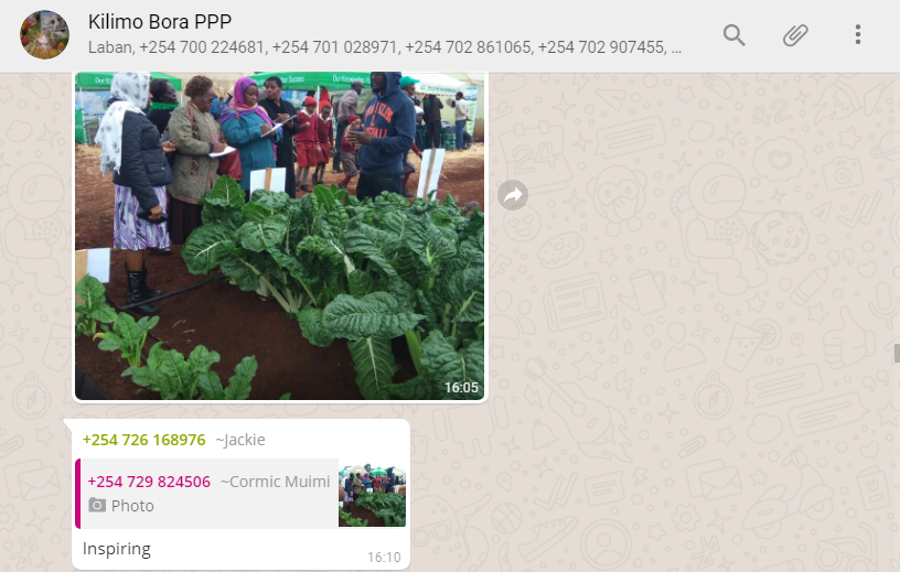 WhatsApp.PNG