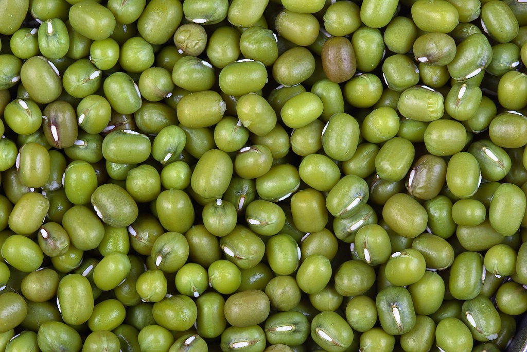 green_gram.jpg