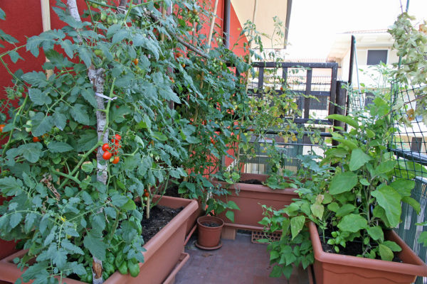 rooftop1.jpg