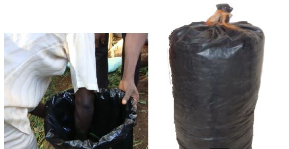silage tech.JPG