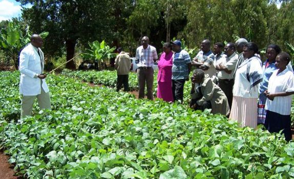 Cow peas- photo by MKU - Copy.jpg