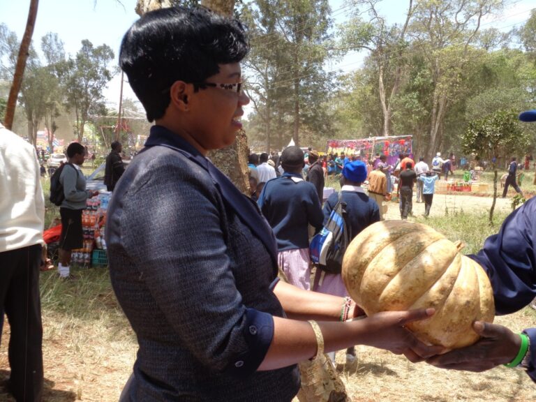 Pumpkin-Jenifer Shiko Wanjiku.JPG
