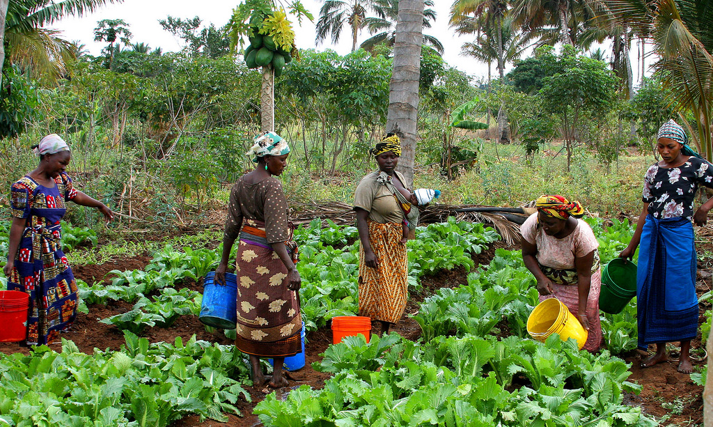Women-in-Agriculture.jpg