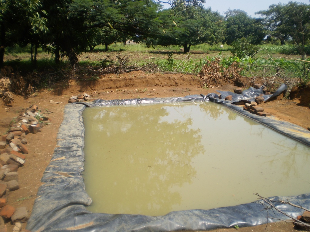 damliner-waterharvesting.jpg