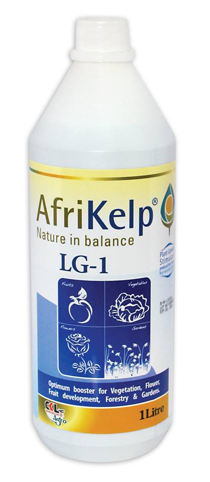 AfriKelp LG-1 South Africa.jpg