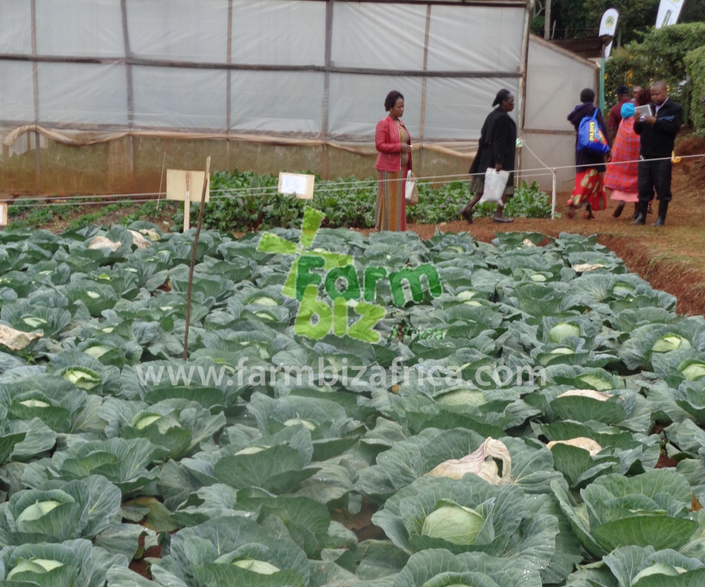 Farmbiz94.jpg