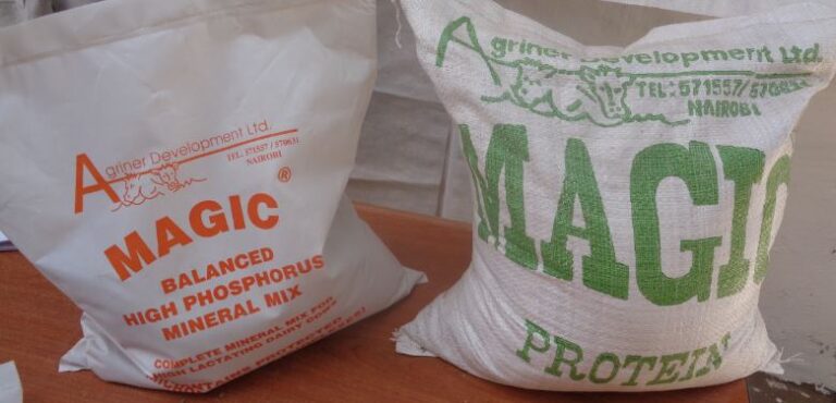 magicprotein.JPG