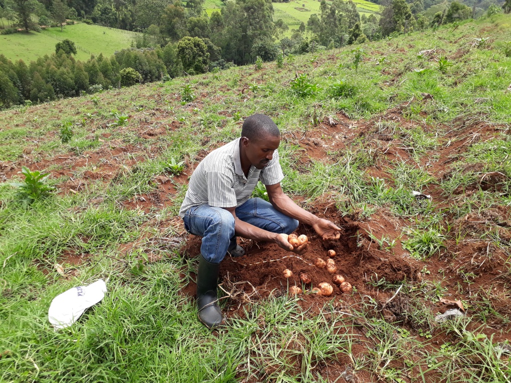 Bomet Potato farmer1.jpg