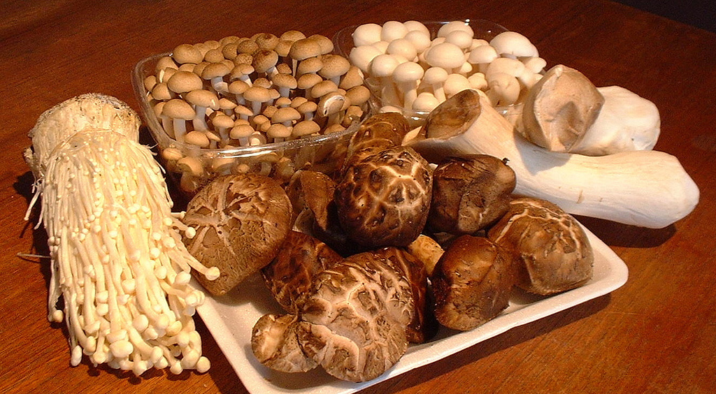 mushroom.jpg