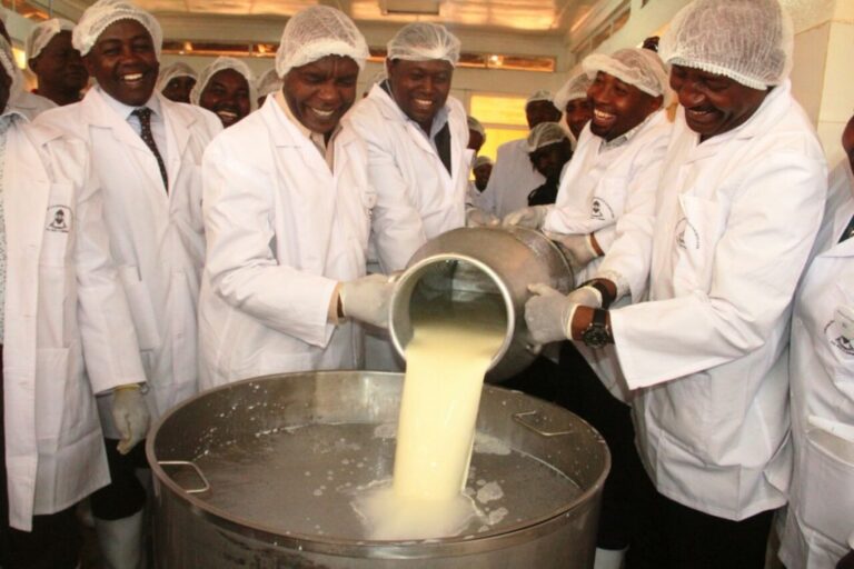 kikima dairy plant, makueni county.jpg