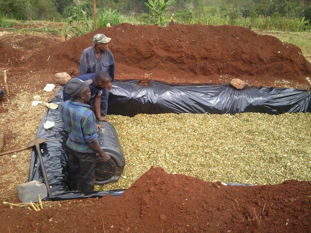 silagemethod.jpg