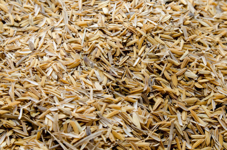 rice-husk-mill-43884732.jpg