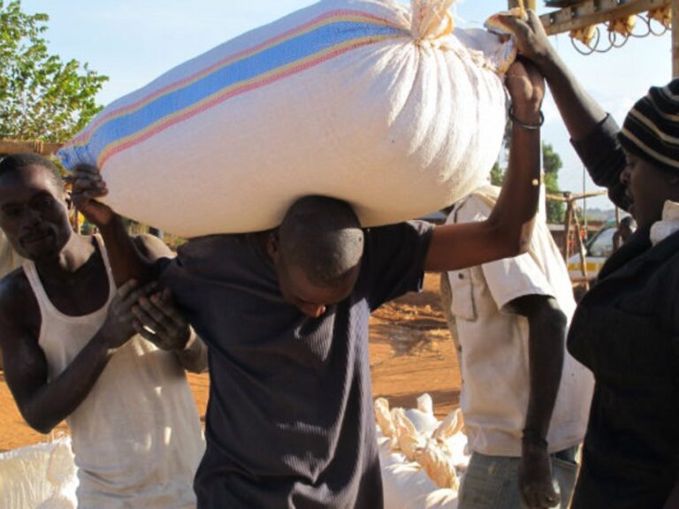 Maize bag By the Star