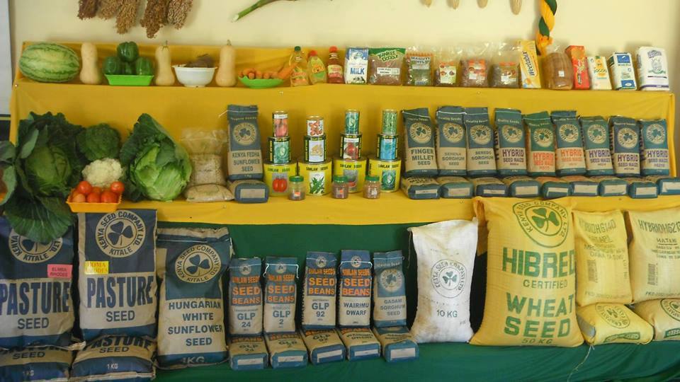 SEEDS on display