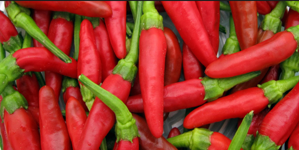 chilli