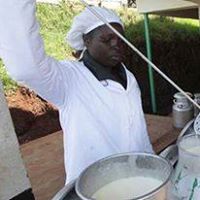 milk measuring