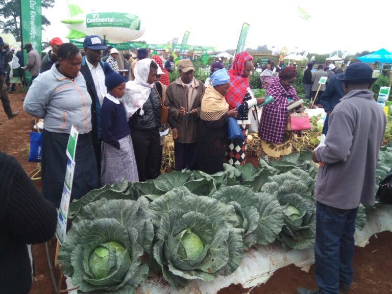 farmers1