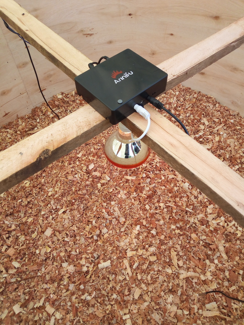 Arinifu digital brooder