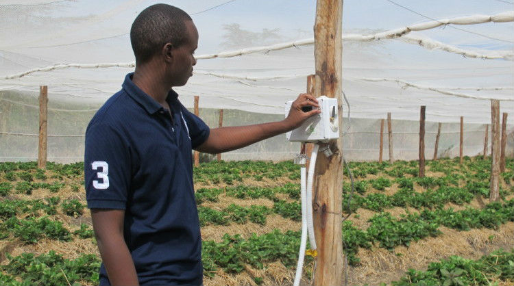 Kenya agritech