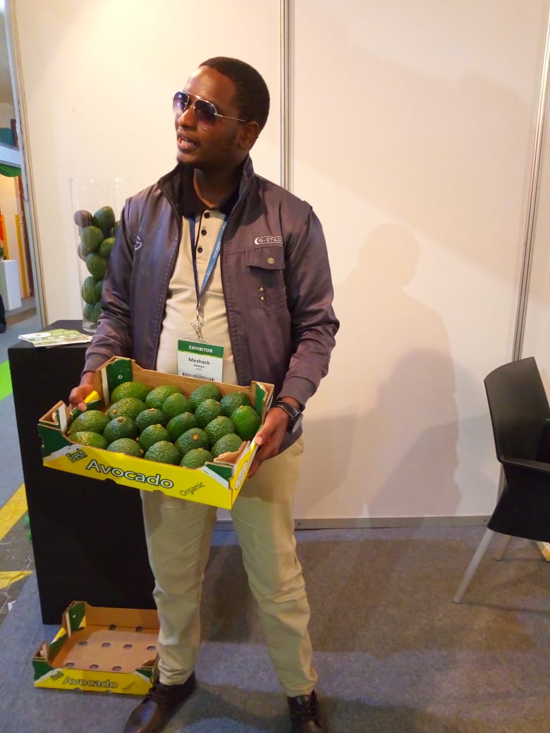 Meshack kamau avocado society