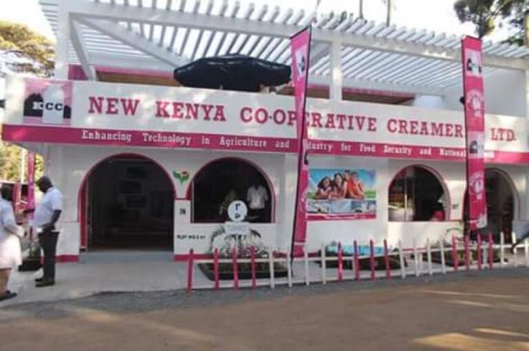 NEW KCC